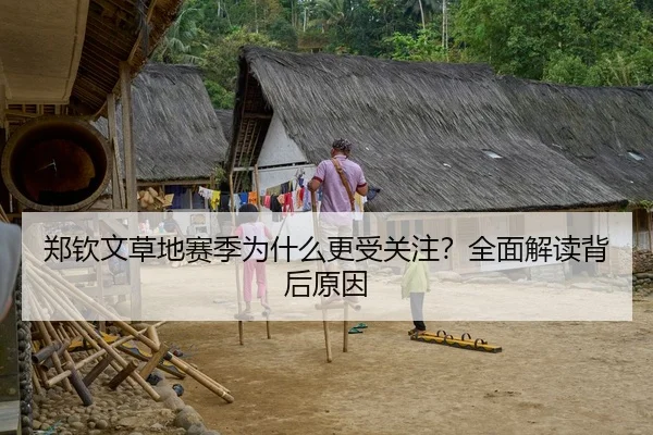郑钦文草地赛季为什么更受关注？全面解读背后原因